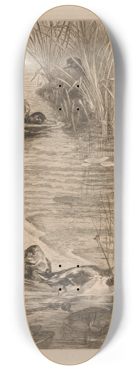 Flix Bracquemond - Ducks at play 8.25 inch art skate deck