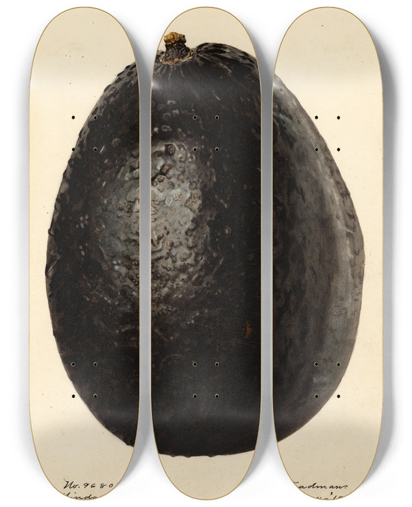 Triptych art skateboard deck of Royal Charles Steadman Persea Linda by Royal Charles Steadman (1875-1964)