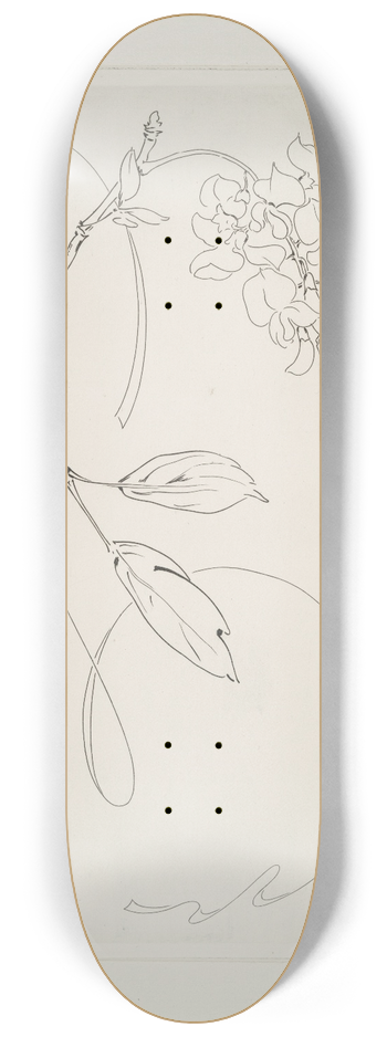 Flix Bracquemond - Plat rond (glycine). 8.25 inch art skate deck