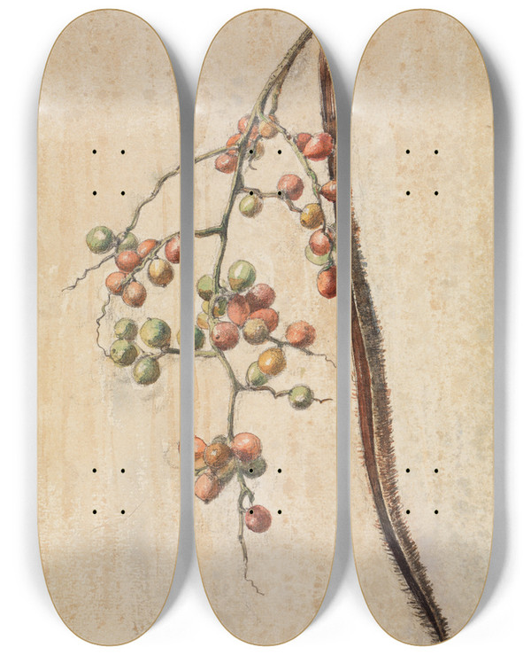 Triptych art skateboard deck of Ferdinand Keller Studie Eines Frchte Tragenden Zweiges by Ferdinand Keller (1842-1922)