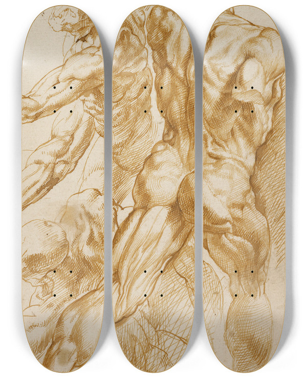 Triptych art skateboard deck of Peter Paul Rubens Anatomical Studies_2 by Peter Paul Rubens (1577-1640)