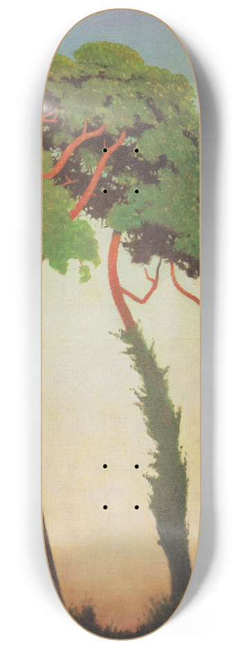 Flix Vallotton - Last sun rays 8.25 inch art skate deck