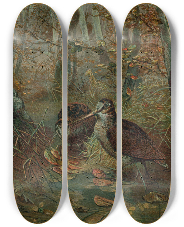 Triptych art skateboard deck of John George Wood Woodcock by John George Wood (1827-1889)