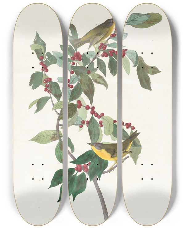Triptych art skateboard deck of John James Audubon Nashville Warbler by John James Audubon (1785-1851)