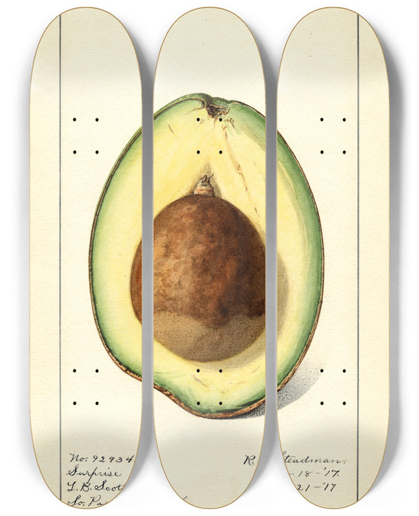 Triptych art skateboard deck of Royal Charles Steadman Persea Surprise by Royal Charles Steadman (1875-1964)