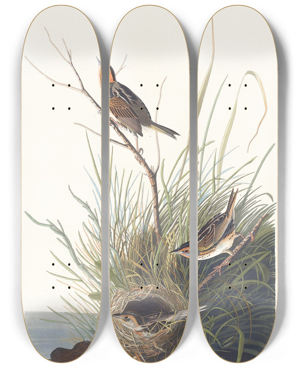 Triptych art skateboard deck of John James Audubon Sharptailed Finch by John James Audubon (1785-1851)