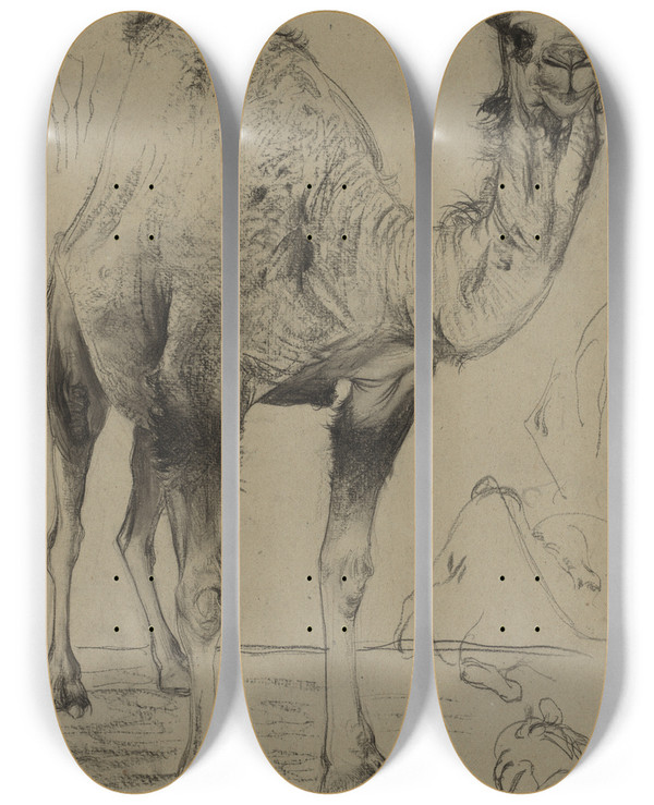 Triptych art skateboard deck of Richard Mller Dromedary by Richard Muller (1874-1930)