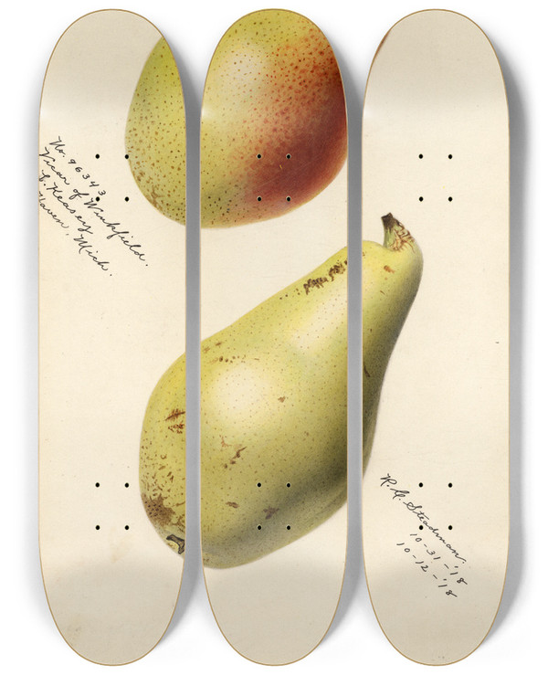 Triptych art skateboard deck of Royal Charles Steadman Pyrus Communis Vicar Of Winkfield by Royal Charles Steadman (1875-1964)