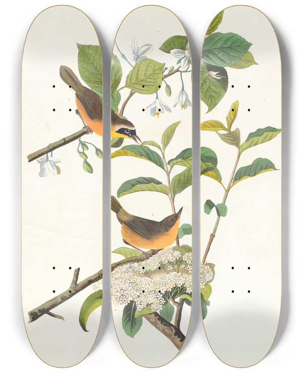 Triptych art skateboard deck of John James Audubon Yellowbreasted Warbler by John James Audubon (1785-1851)