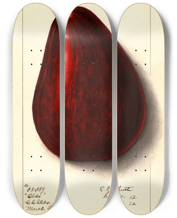 Triptych art skateboard deck of Ellen Isham Schutt Persea Olds by Ellen Isham Schutt (1873-1955)