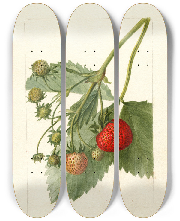 Triptych art skateboard deck of Deborah Griscom Passmore Fragaria Thompson by Deborah Griscom Passmore (1840-1911)