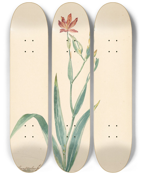Triptych art skateboard deck of Willem Van Leen Luipaardbloem In Een Landschap by Willem van Leen (1753-1825)