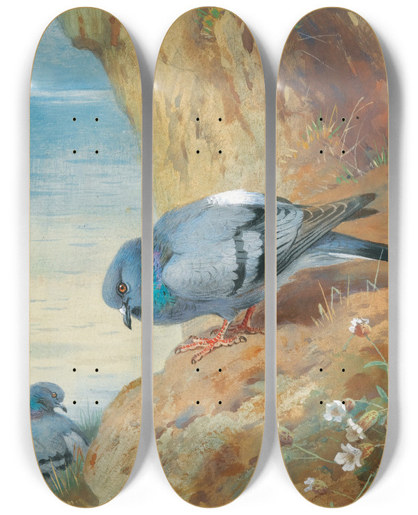 Triptych art skateboard deck of Archibald Thorburn Rock Doves by Archibald Thorburn (1860-1935)