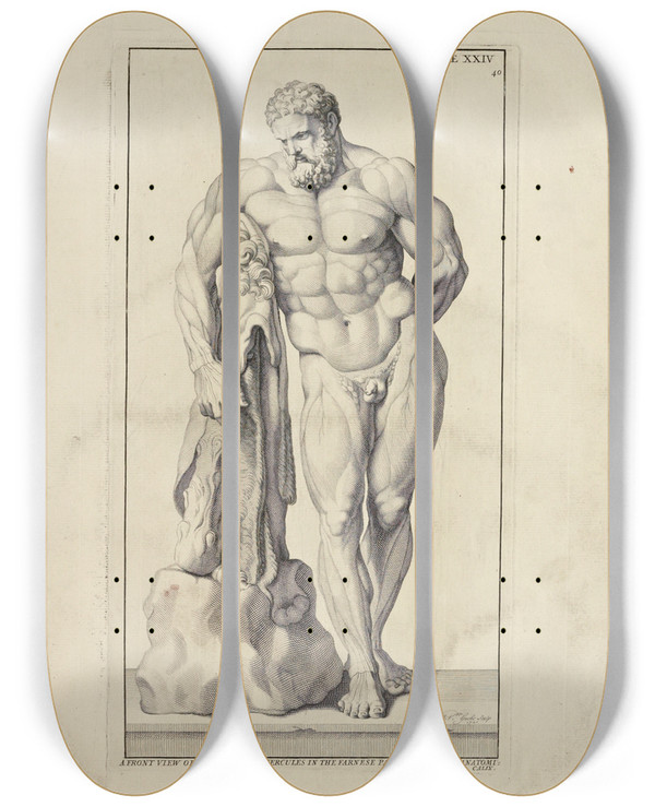 Triptych art skateboard deck of Michael Van Der Gucht Anatomy Improvd And Illustrated With Regard To The Uses Thereof In Designing Pl24 by Michael van der Gucht (1660-1725)