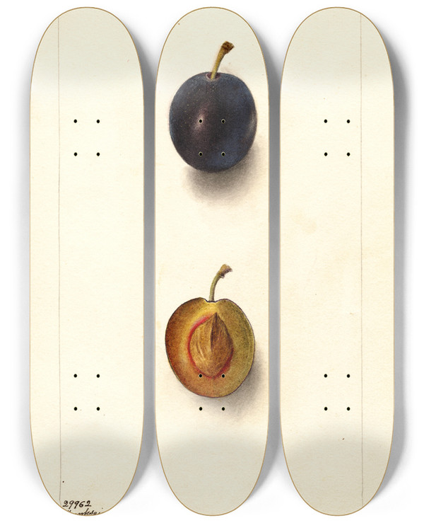 Triptych art skateboard deck of Deborah Griscom Passmore Prunus Domestica Thanksgiving Prune by Deborah Griscom Passmore (1840-1911)