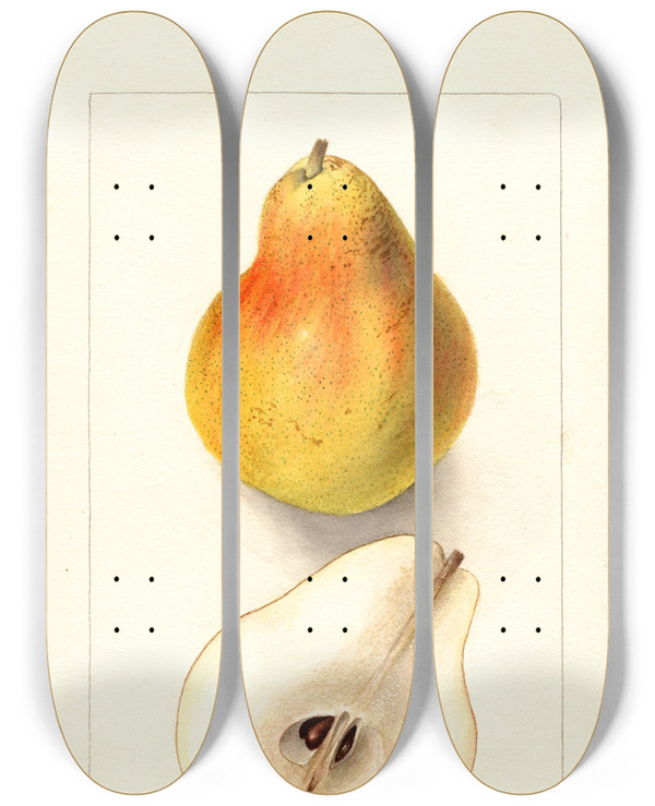 Triptych art skateboard deck of Deborah Griscom Passmore Pyrus Communis Dorsett by Deborah Griscom Passmore (1840-1911)