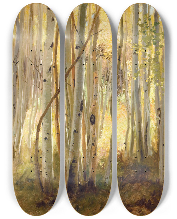 Triptych art skateboard deck of Hamilton Hamilton Sunlit Birch Forest by Hamilton Hamilton (1847-1928)