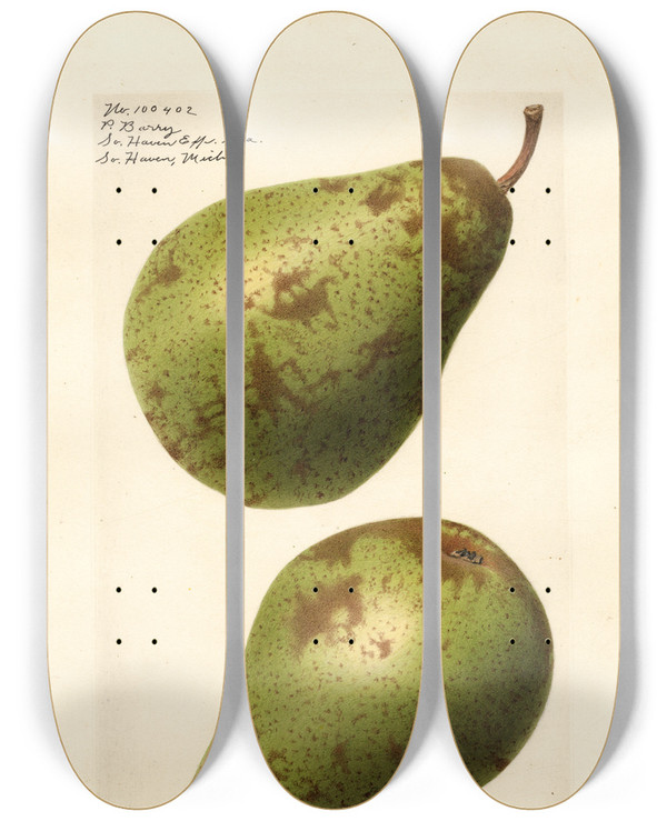 Triptych art skateboard deck of Royal Charles Steadman Pyrus Communis P by Royal Charles Steadman (1875-1964)