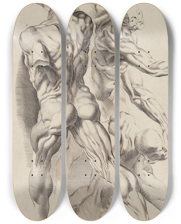 Triptych art skateboard deck of Peter Paul Rubens Study Of Two Naked Men by Peter Paul Rubens (1577-1640)