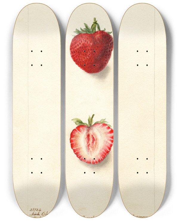 Triptych art skateboard deck of Deborah Griscom Passmore Fragaria Nick Ohmer by Deborah Griscom Passmore (1840-1911)
