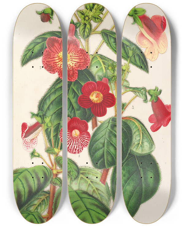 Triptych art skateboard deck of Charles Antoine Lemaire Tydaea by Charles Antoine Lemaire (1800-1871)