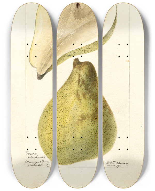 Triptych art skateboard deck of Deborah Griscom Passmore Pyrus Communis Arbre Courbe by Deborah Griscom Passmore (1840-1911)
