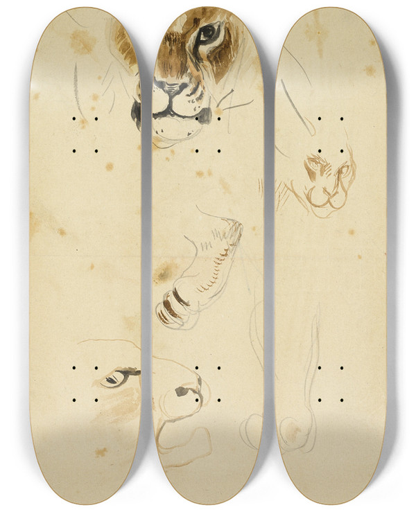 Triptych art skateboard deck of Eugne Delacroix Heads And Paws Of Lions by Eugene Delacroix (1798-1863)