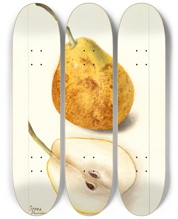 Triptych art skateboard deck of Deborah Griscom Passmore Pyrus Communis President Gilbert by Deborah Griscom Passmore (1840-1911)