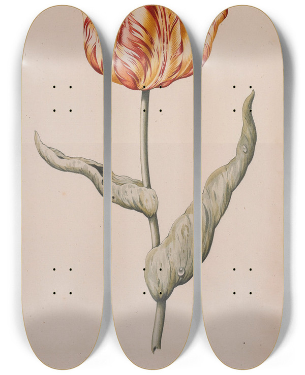 Triptych art skateboard deck of Dutch School A Tulip With A Butterfly by Dutch School