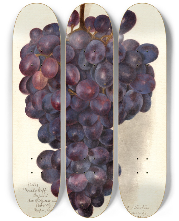 Triptych art skateboard deck of Amanda Almira Newton Vitis Malakoff Isjum by Amanda Almira Newton (1860-1943)