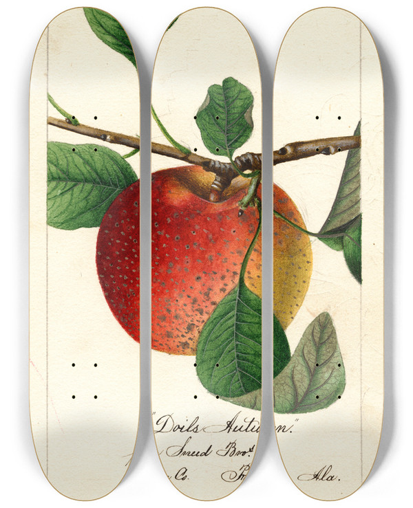 Triptych art skateboard deck of William Henry Prestele Malus Domestica Doils Autumn by William Henry Prestele (1838-1895)