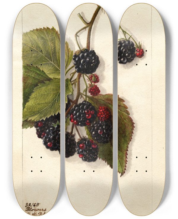 Triptych art skateboard deck of Deborah Griscom Passmore Rubus Blowers_2 by Deborah Griscom Passmore (1840-1911)