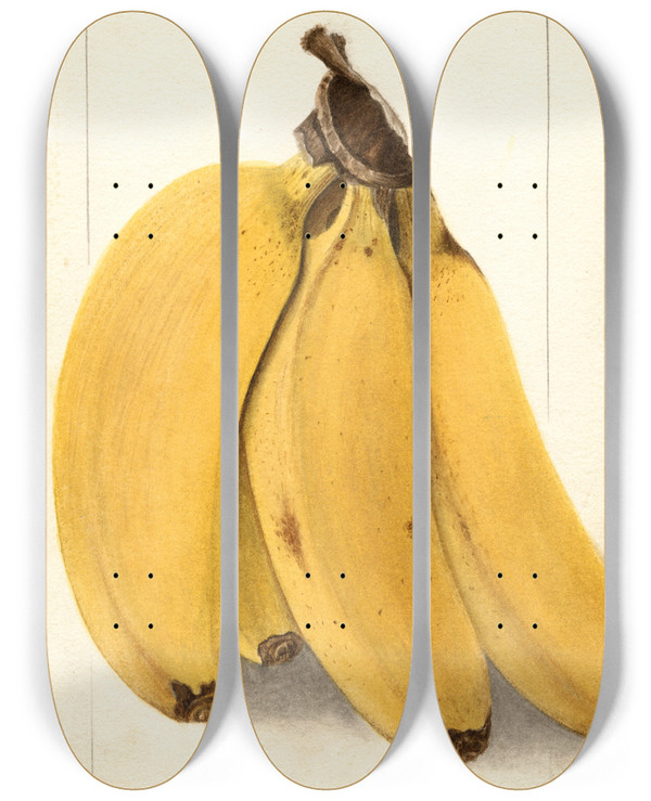 Triptych art skateboard deck of Ellen Isham Schutt Musa Yenjerto by Ellen Isham Schutt (1873-1955)