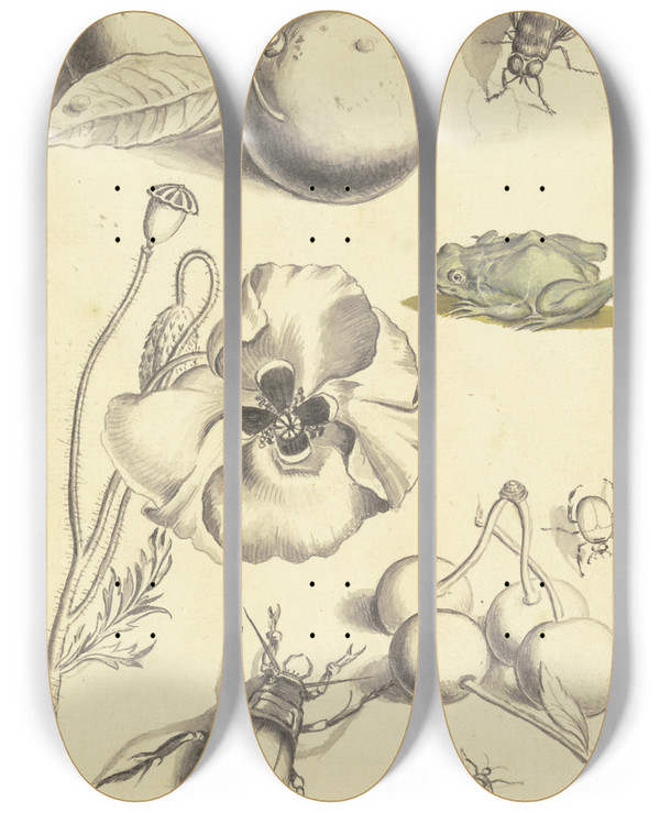 Triptych art skateboard deck of Johann Daniel Bager Studienblatt Mit Einer Mohnblume Pflaumen Kirschen Zwei Kfern Einer Fliege Einer Biene Und Einem Frosch by Johann Daniel Bager (1734-1815)