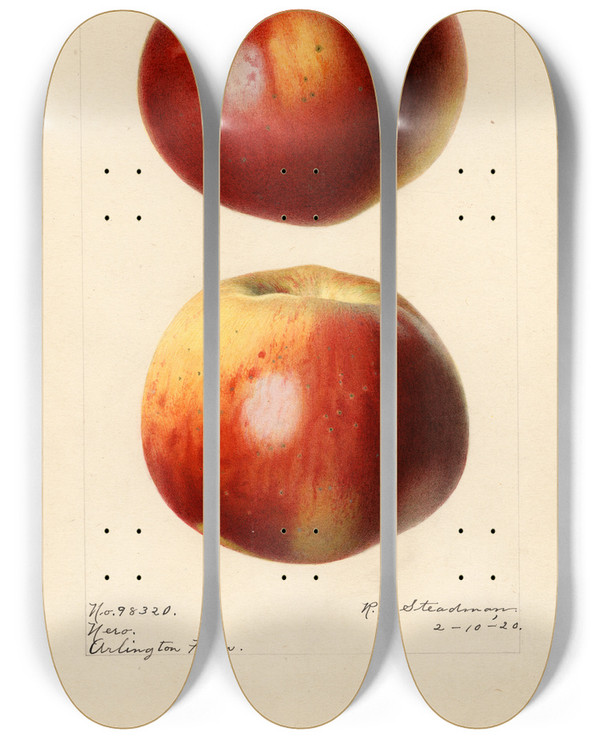 Triptych art skateboard deck of Royal Charles Steadman Malus Domestica Nero by Royal Charles Steadman (1875-1964)