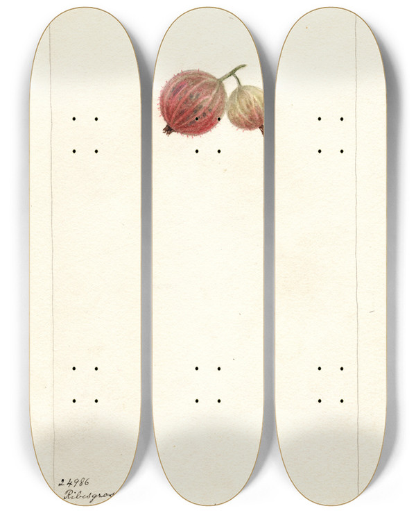 Triptych art skateboard deck of Deborah Griscom Passmore Ribes Ribesgros Abenarius by Deborah Griscom Passmore (1840-1911)