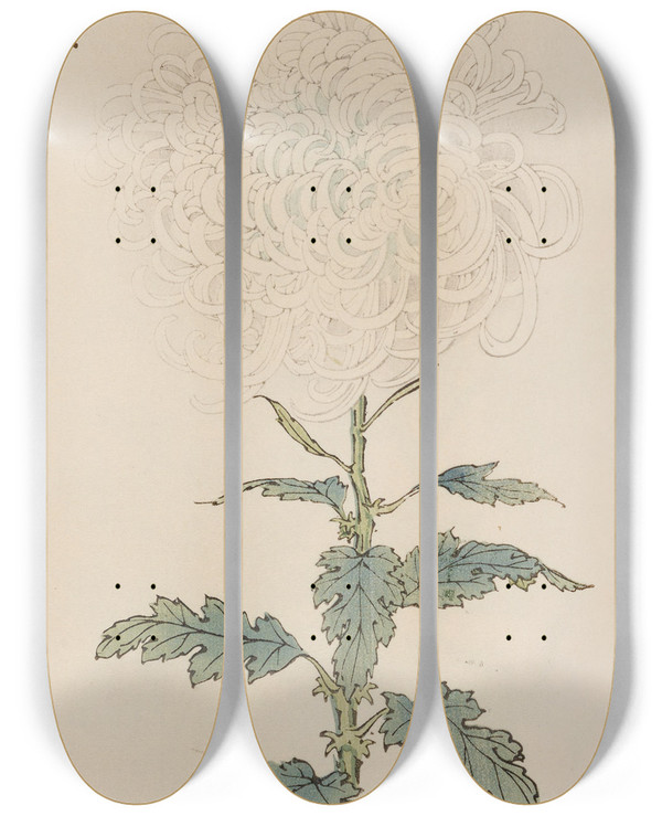 Triptych art skateboard deck of Keika Hasegawa Keika Hyakugiku Pl29 by Keika Hasegawa (1892-1905)