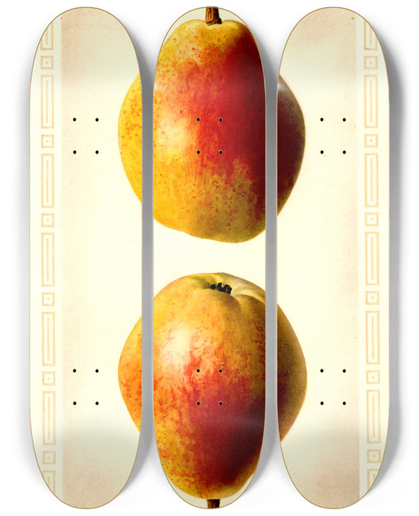 Triptych art skateboard deck of Royal Charles Steadman Pyrus Communis Clapps Favorite by Royal Charles Steadman (1875-1964)