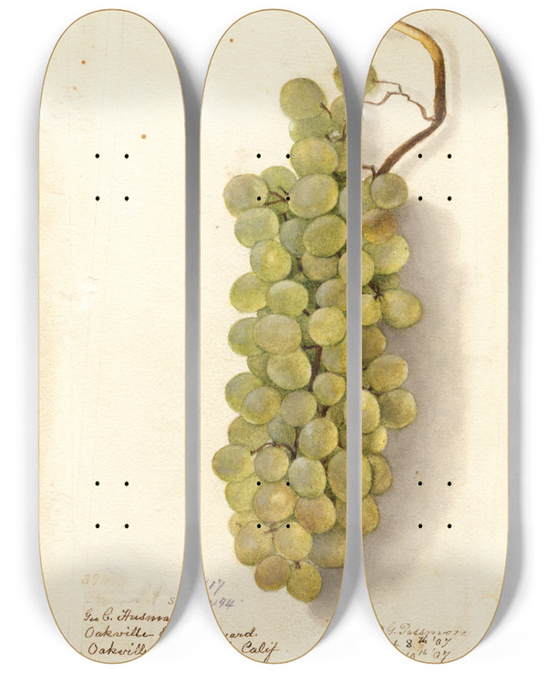 Triptych art skateboard deck of Deborah Griscom Passmore Vitis by Deborah Griscom Passmore (1840-1911)