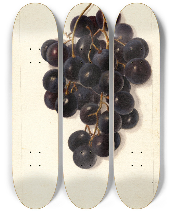 Triptych art skateboard deck of Deborah Griscom Passmore Vitis Merceron by Deborah Griscom Passmore (1840-1911)