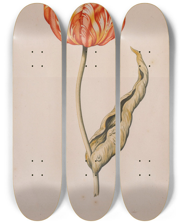 Triptych art skateboard deck of Dutch School An Orange And Yellow Tulip With A Butterfly by Dutch School