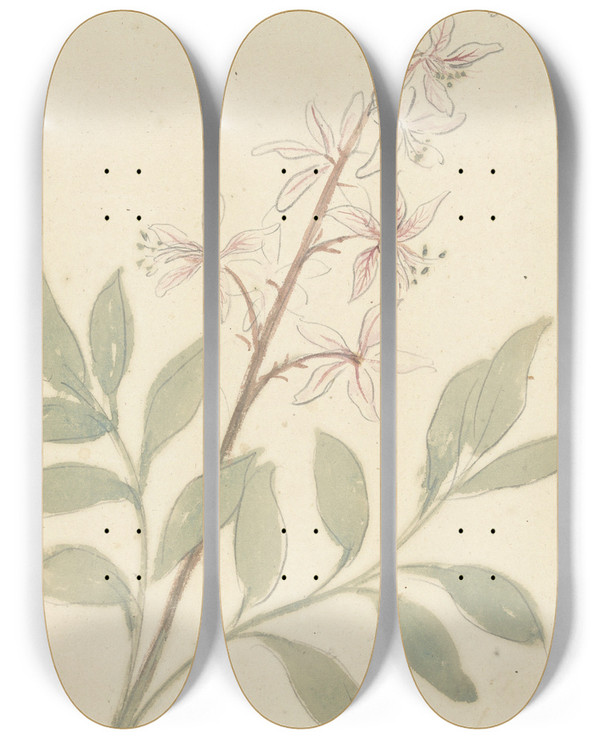 Triptych art skateboard deck of Elias Van Nijmegen Bloemstudie by Elias Van Nijmegen (1667-1755)