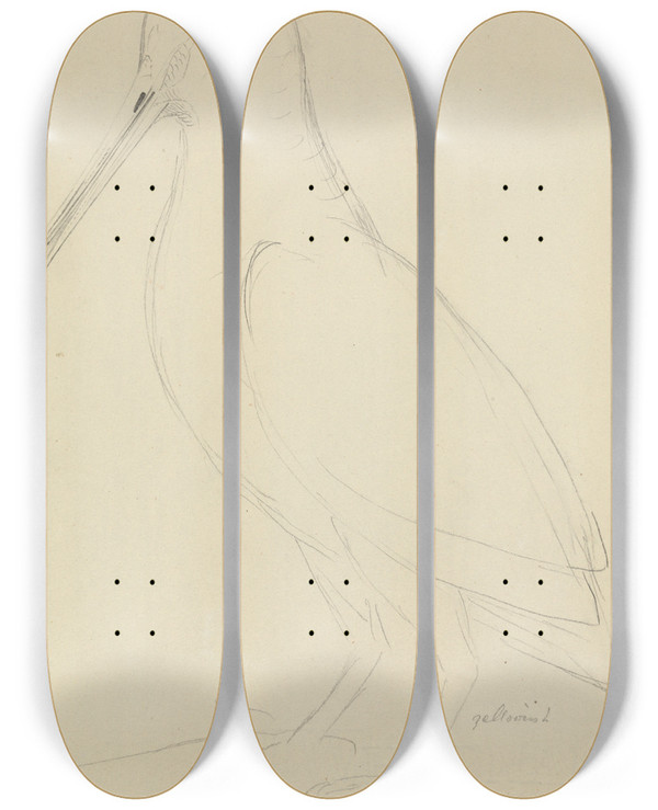 Triptych art skateboard deck of James Sowerby Eurasian Woodcock by James Sowerby (1757-1822)