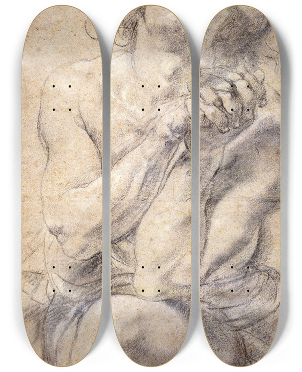 Triptych art skateboard deck of Peter Paul Rubens Seated Male Youth Study For Daniel by Peter Paul Rubens (1577-1640)