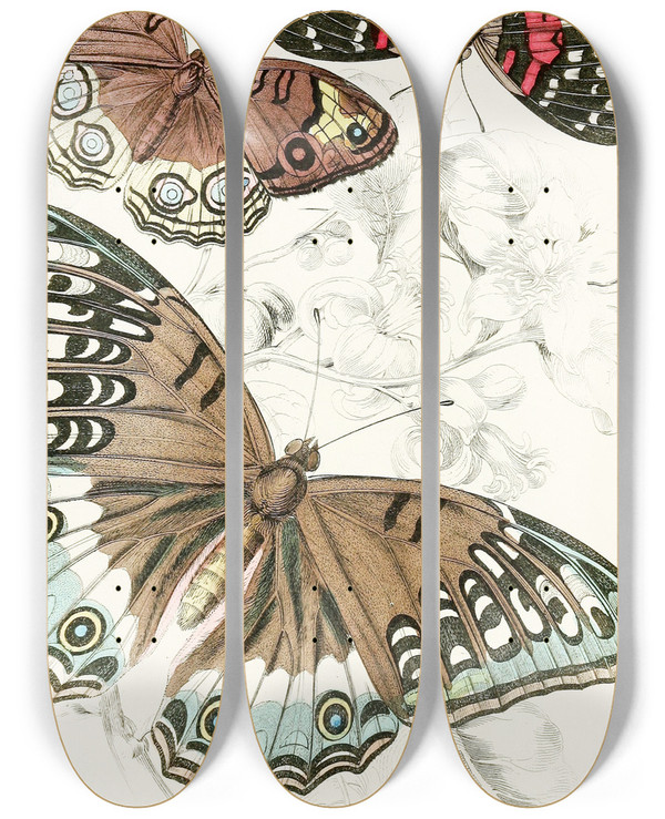 Triptych art skateboard deck of James Duncan Vanessa Julianavanessa Amathea Vanessa Orithya by James Duncan (1806-1881)