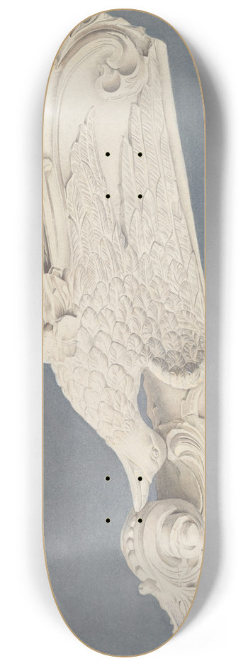Frances Cohen - Figurehead  Eagle 8.25 inch art skate deck