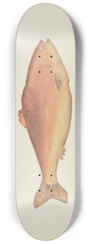 Frances Cohen - Shop Sign 8.25 inch art skate deck
