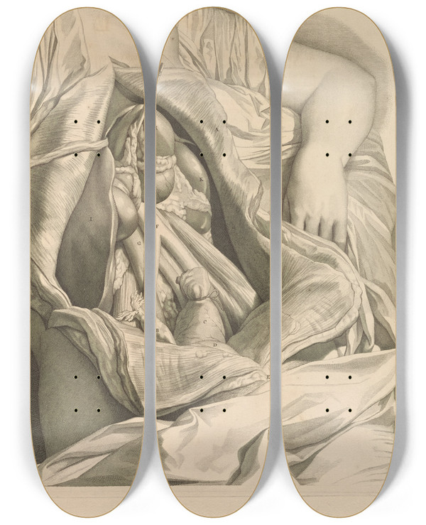 Triptych art skateboard deck of Gerard De Lairesse Anatomia Humani Corporis Pl050 by Gerard de Lairesse (1641-1711)