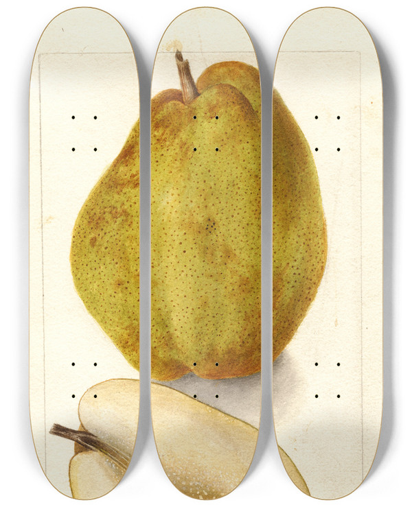Triptych art skateboard deck of Deborah Griscom Passmore Pyrus Communis Kieffer_3 by Deborah Griscom Passmore (1840-1911)
