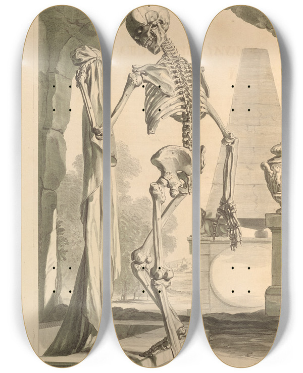 Triptych art skateboard deck of Gerard De Lairesse Anatomia Humani Corporis Pl089 by Gerard de Lairesse (1641-1711)